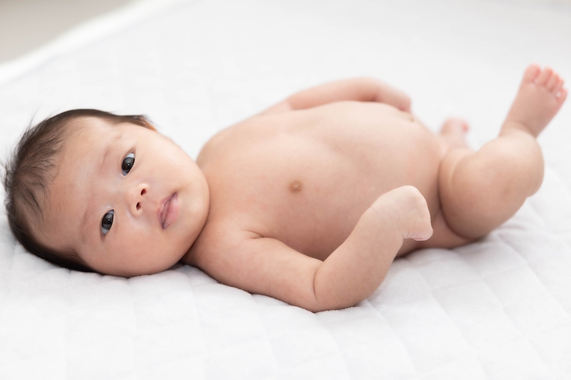 梅田　紫邑が撮影した写真のアルバム「貴重な瞬間を写真に」