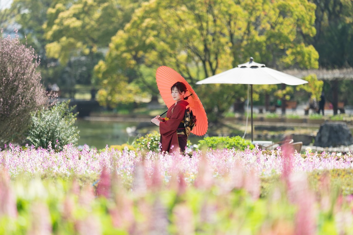 山口　竜が撮影した「成人式前撮り・卒業袴」の写真