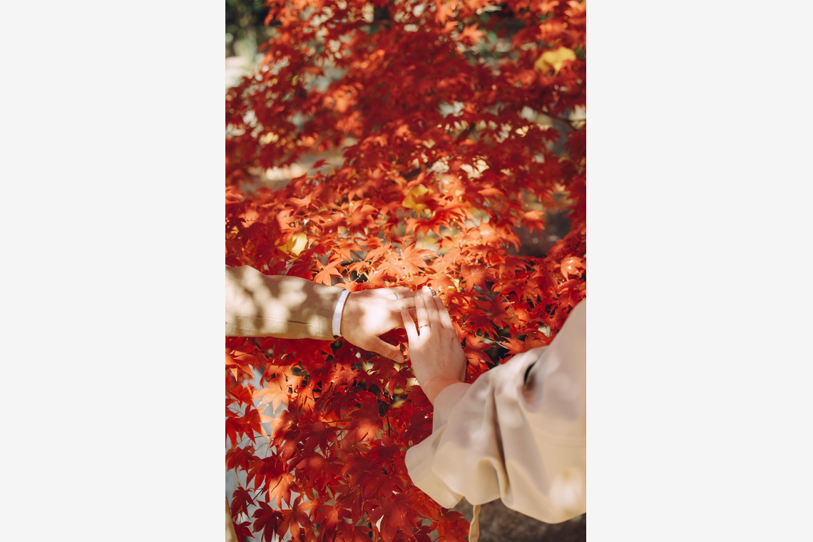 藤内誠一郎が撮影した「ファミリーフォト」の写真