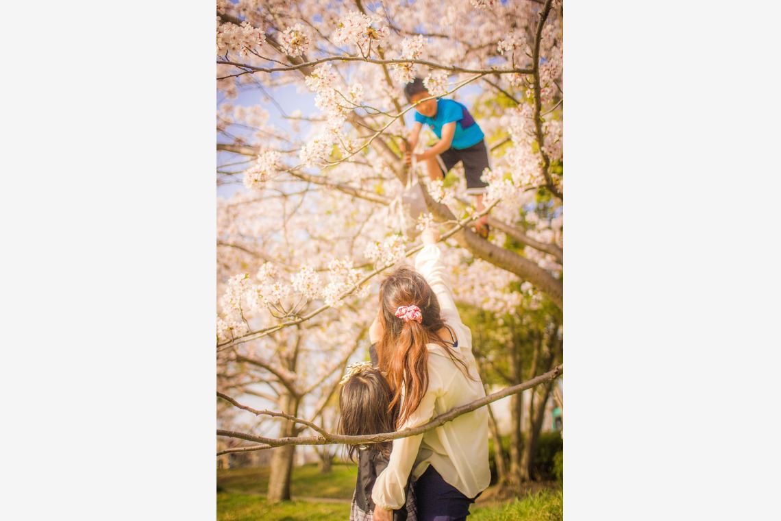 出張撮影　ビンコロ堂が撮影した「家族写真」の写真