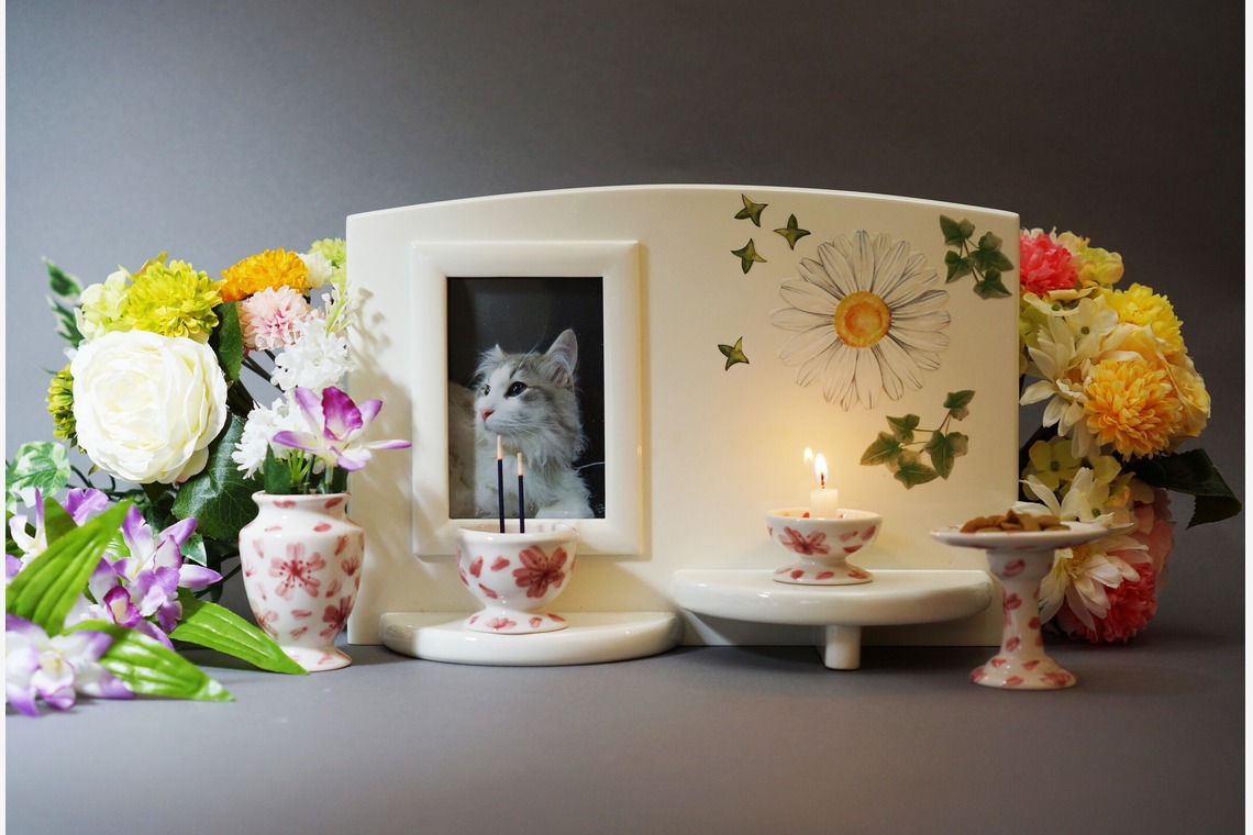 出張撮影のメモリーズが撮影した写真のアルバム「宣材-アラカルト」