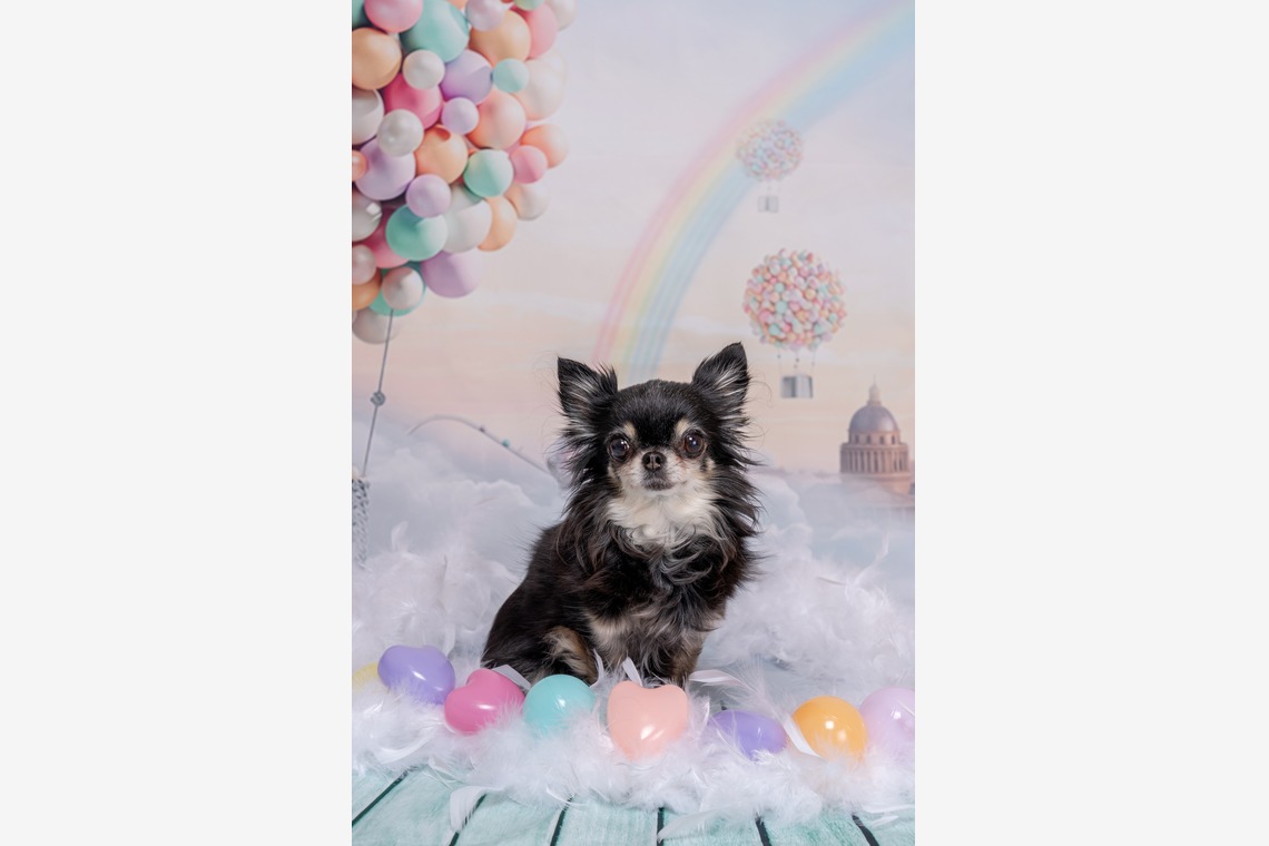 blankが撮影した写真のアルバム「商品撮影」