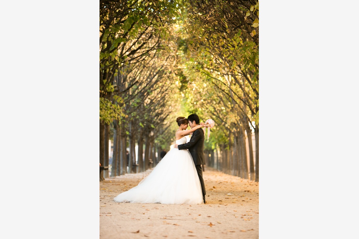 Photo of  taken by IDEA PHOTO WORKS