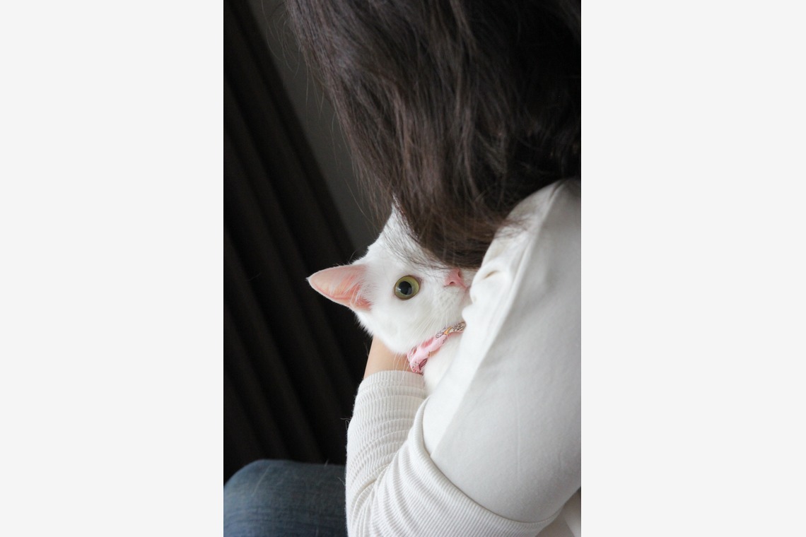 渡邉博海が撮影した「ペット」の写真