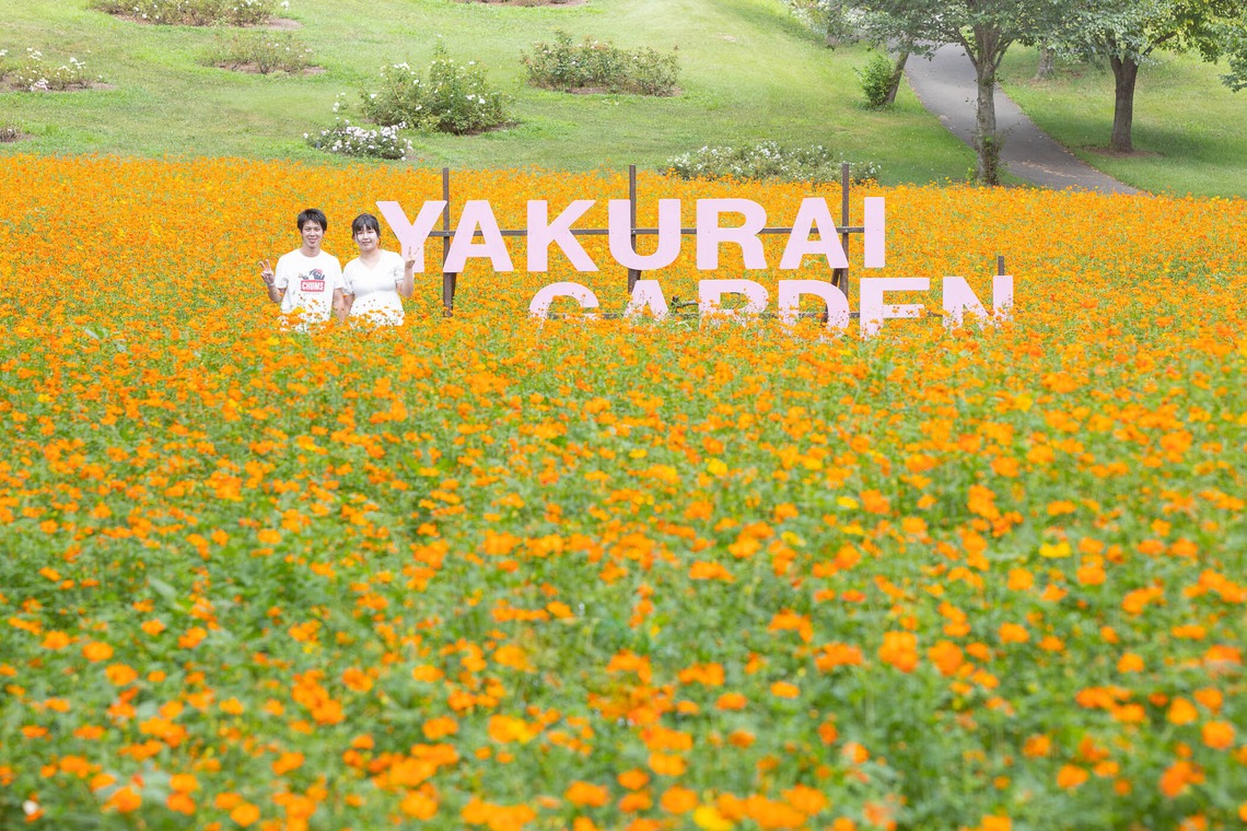 おくやま映像Labo