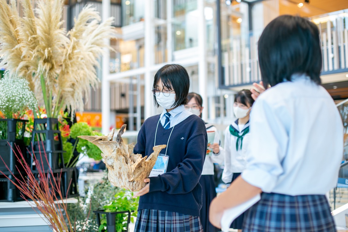 MEGANETWORKSが撮影した写真のアルバム「全国高校生花いけバトル」