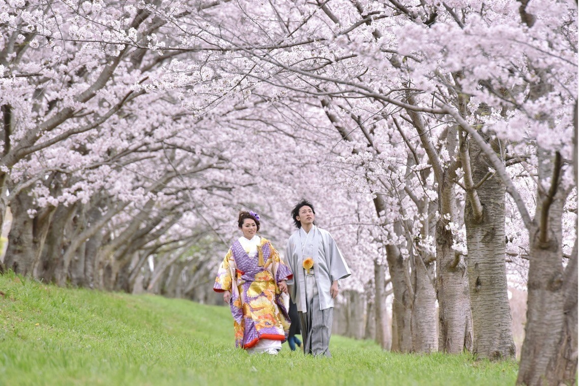 Photo of Pre Weddingphotoshoot in Nara park in the cherry blossom season for foreigners. taken by Kiki photo works