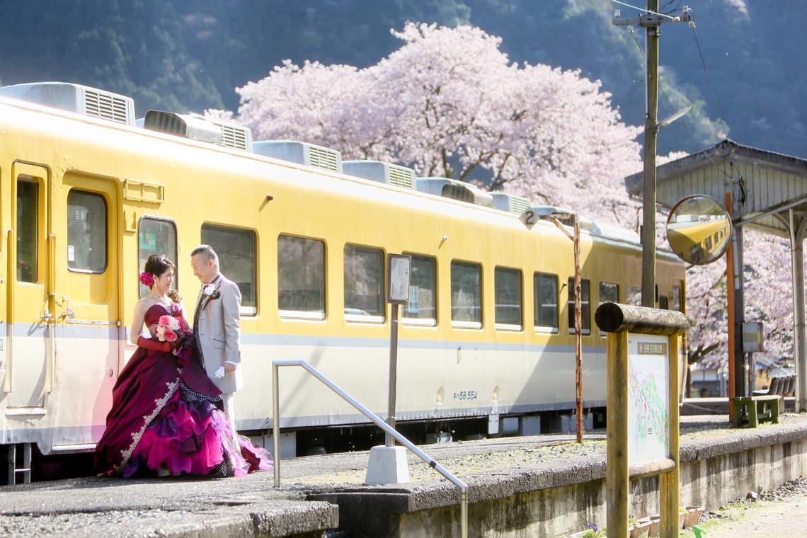 KIKIウェディングが撮影した「桜　桜　桜」の写真