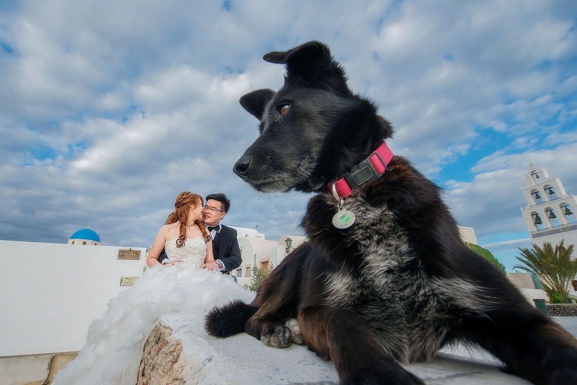 Album of the Wedding, Bridal taken by 2 of us photography - 