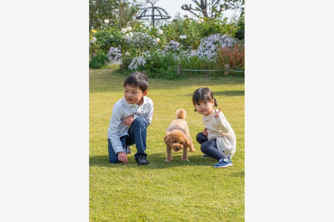 あなたの写真館が撮影した「ペット撮影」の写真