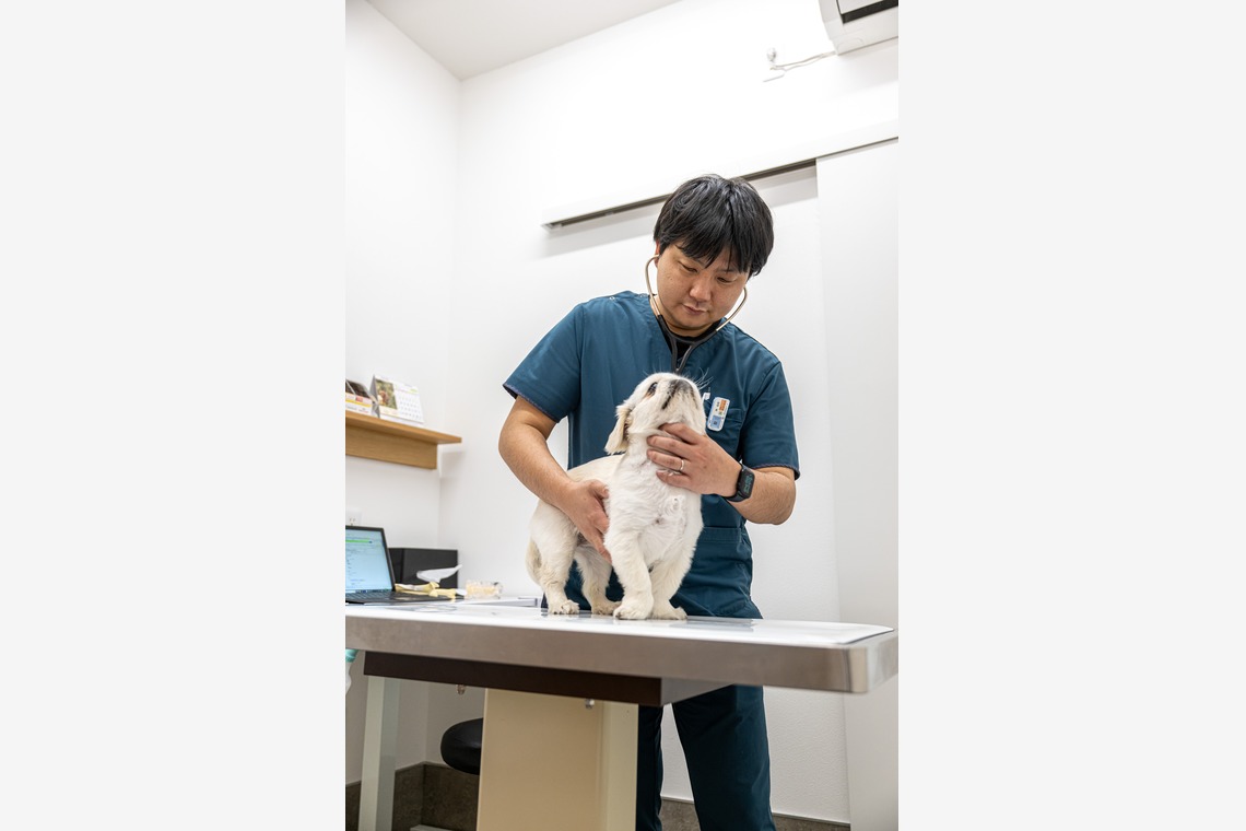 吉田佳央が撮影した「医院撮影」の写真