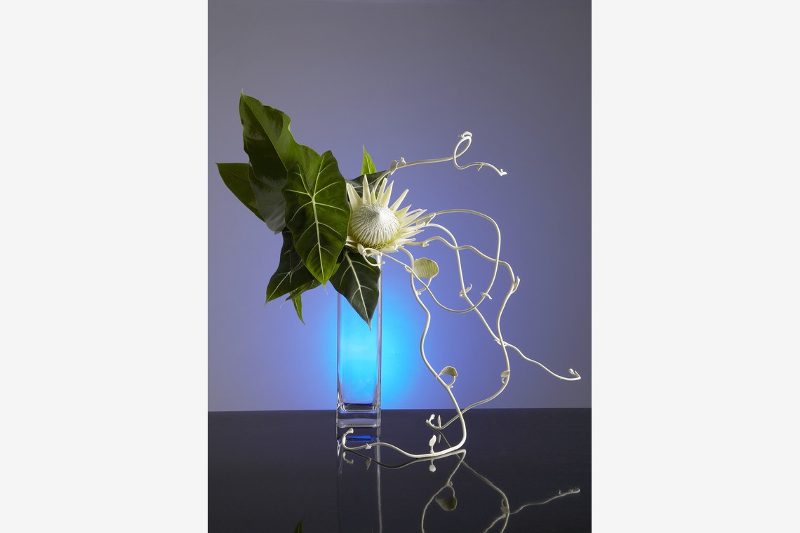 株式会社スタジオカールが撮影した「商品撮影　写真撮影」の写真