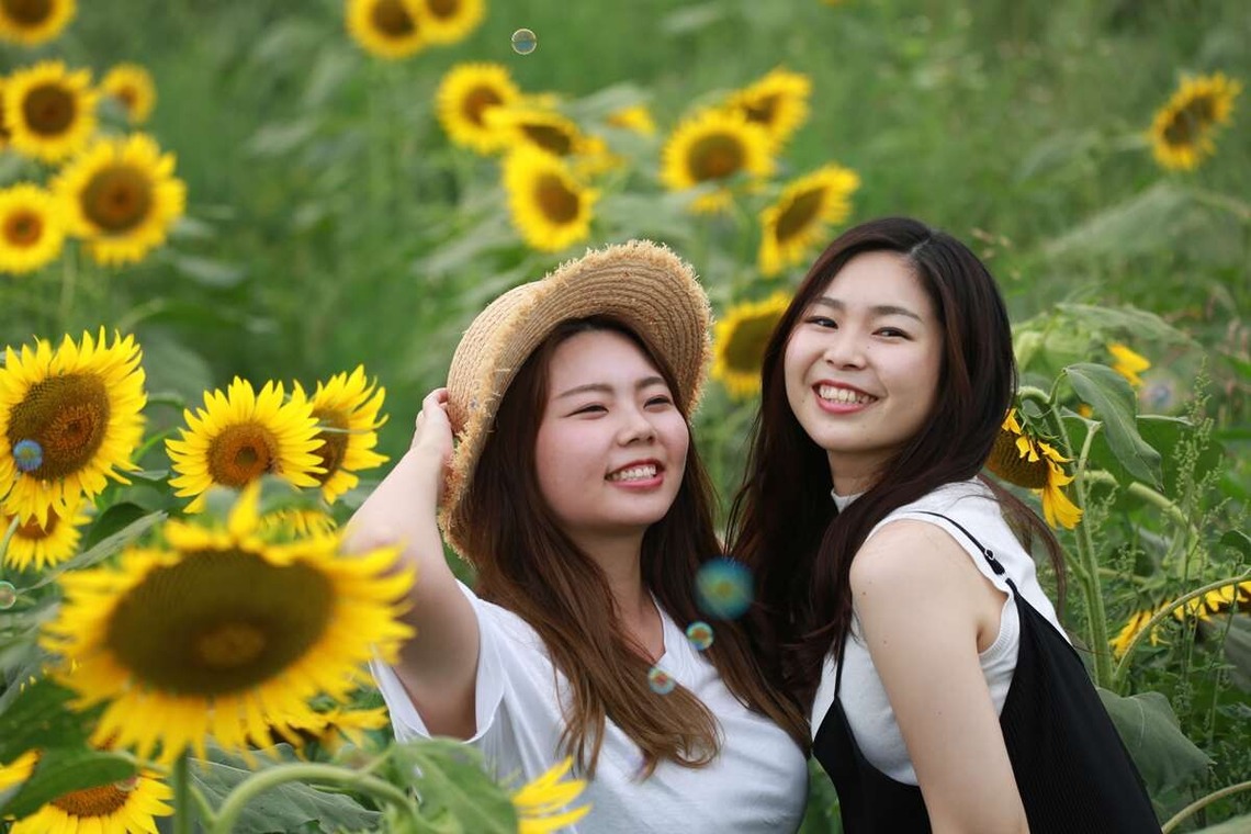 理 S PHOTOが撮影した「鼻高展望ひまわり畑」の写真