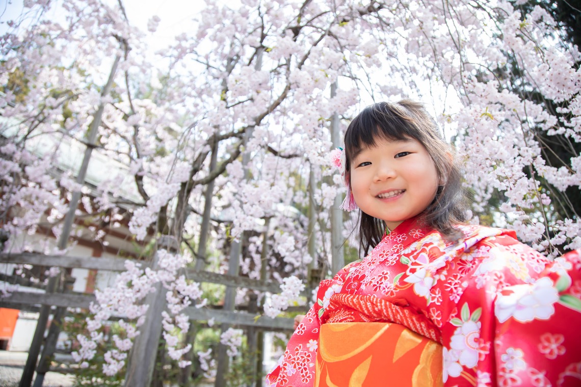 スマイルグローバルフォトが撮影した「桜の七五三」の写真