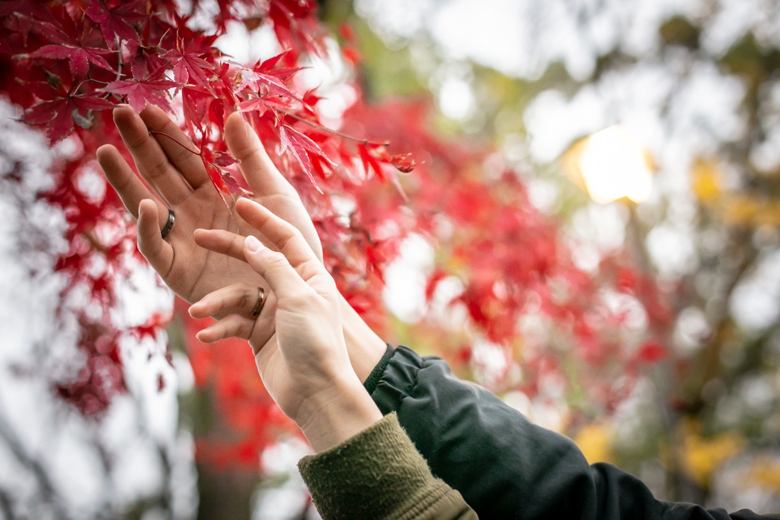 ゾクが撮影した写真のアルバム「カップルフォト」