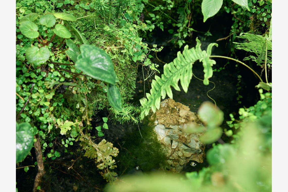 大内カオリが撮影した写真のアルバム「店舗・POPUP」
