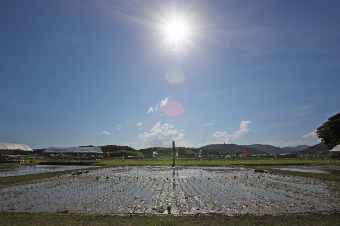 村田わかな広告写真が撮影した「タラサ志摩」の写真