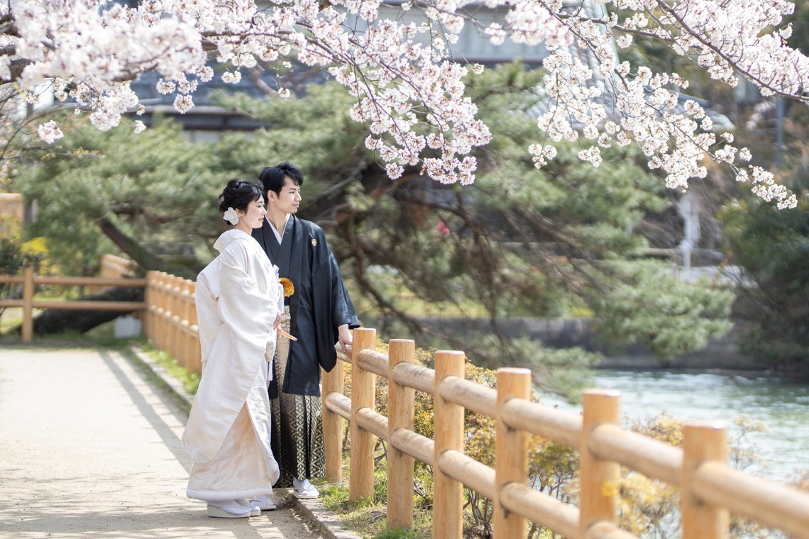 saruco(Hisashi Iwasaki)