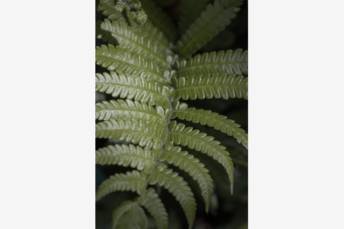 ポートレート沖縄が撮影した「サロンオーナー撮影」の写真