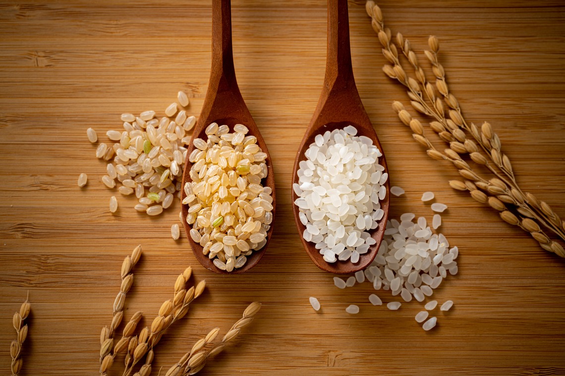 田畠久美子が撮影した「料理・商品物撮り」の写真