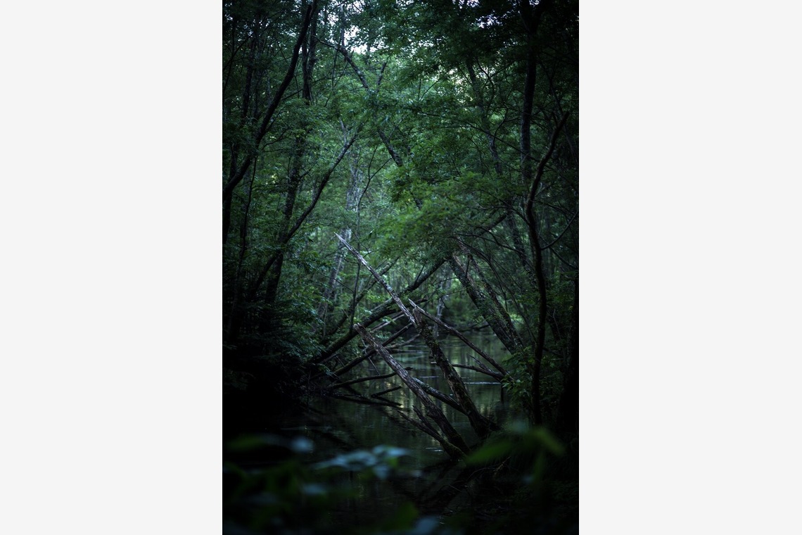 舘　典志が撮影した「風景」の写真