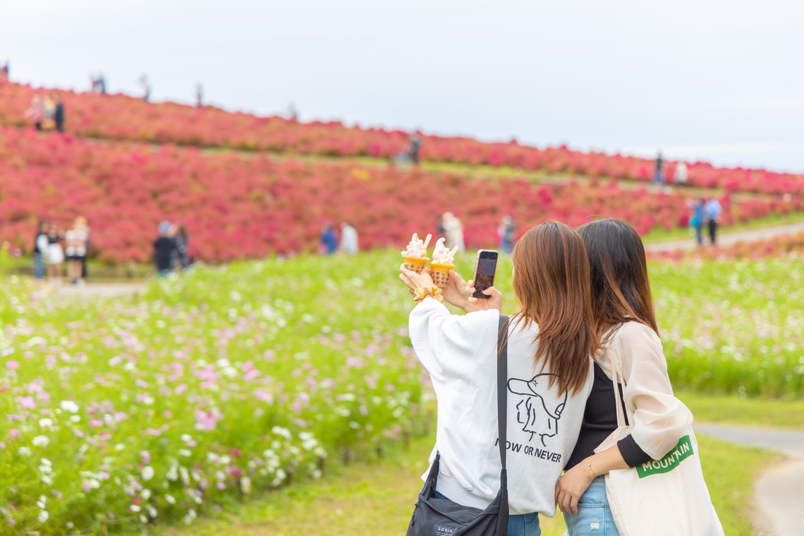 長竹　進吾が撮影した写真のアルバム「作例集」