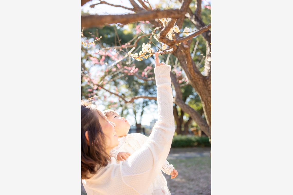 大森光太郎・K-PHOTOが撮影した写真のアルバム「商品パッケージ撮影」