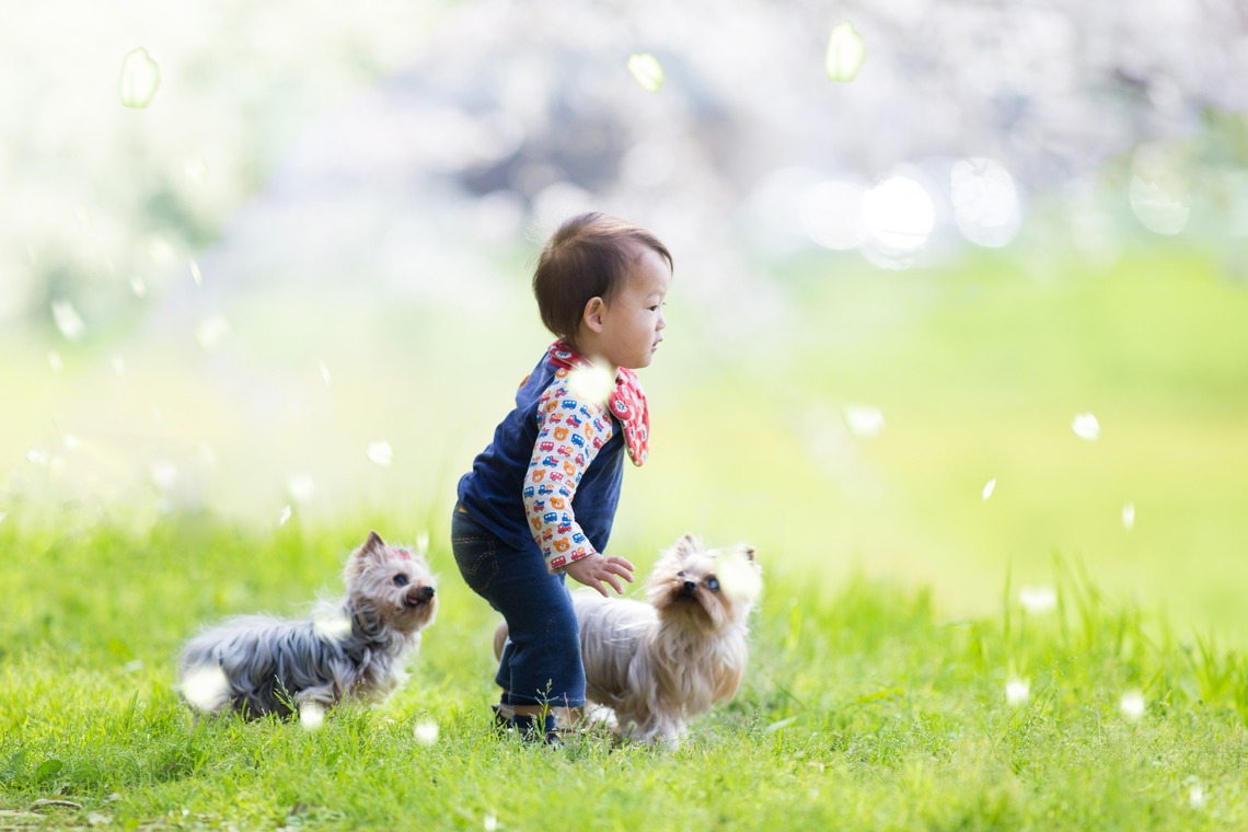 写楽堂が撮影した「ペット」の写真