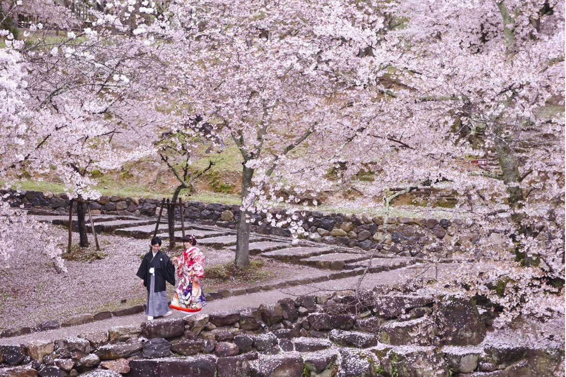 キキフォトワークスが撮影した「桜の季節の和装前撮り」の写真