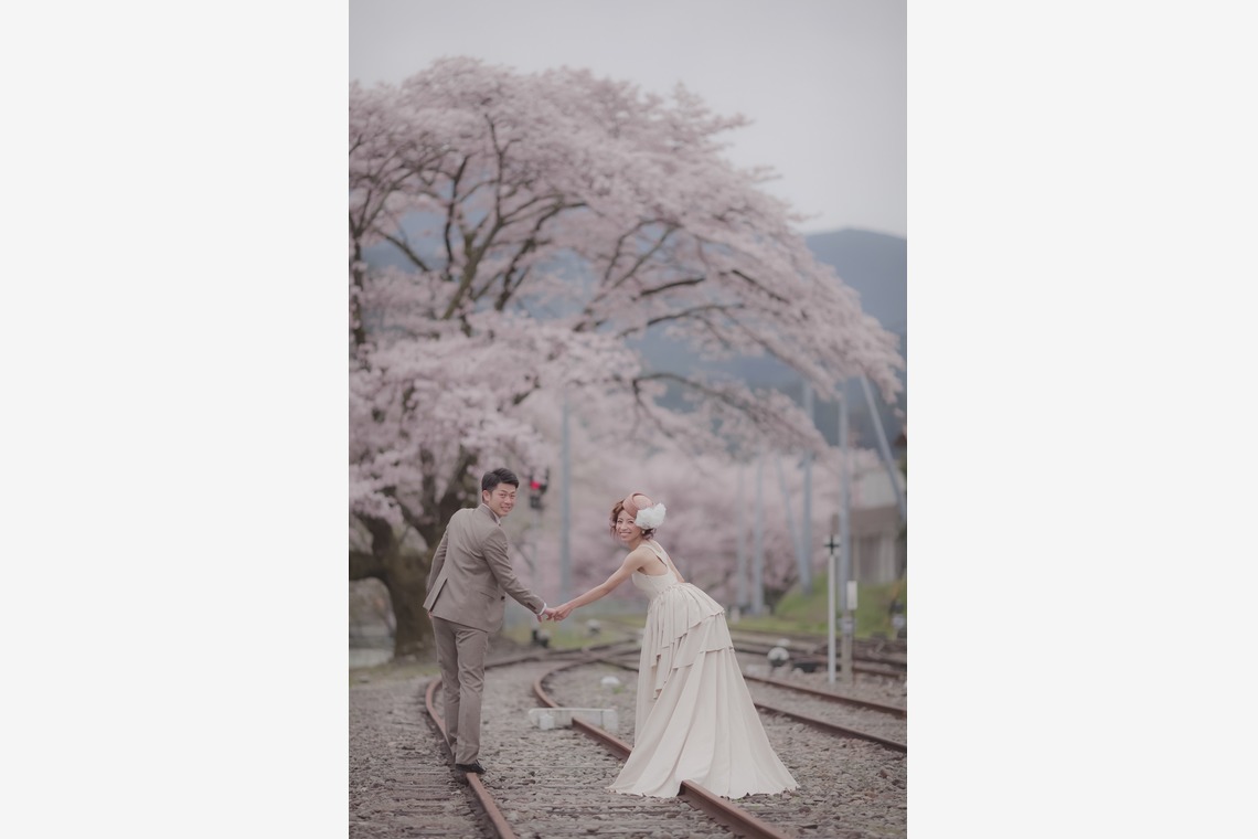 Photo of SAKURA taken by GRAPHYS