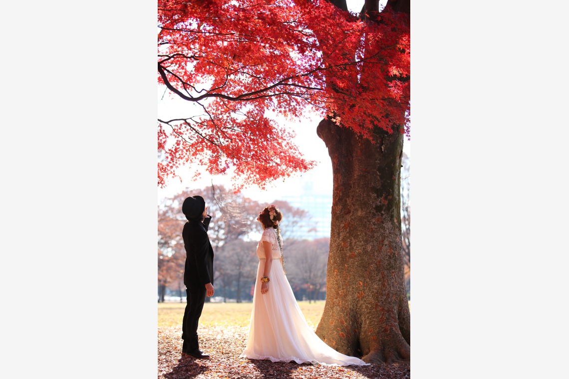 Photo of  taken by ecoo