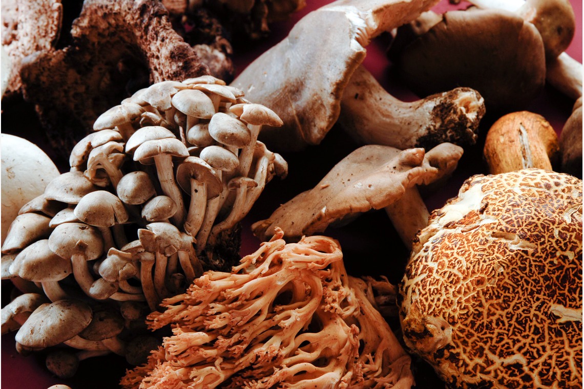 十時写真事務所が撮影した「料理」の写真