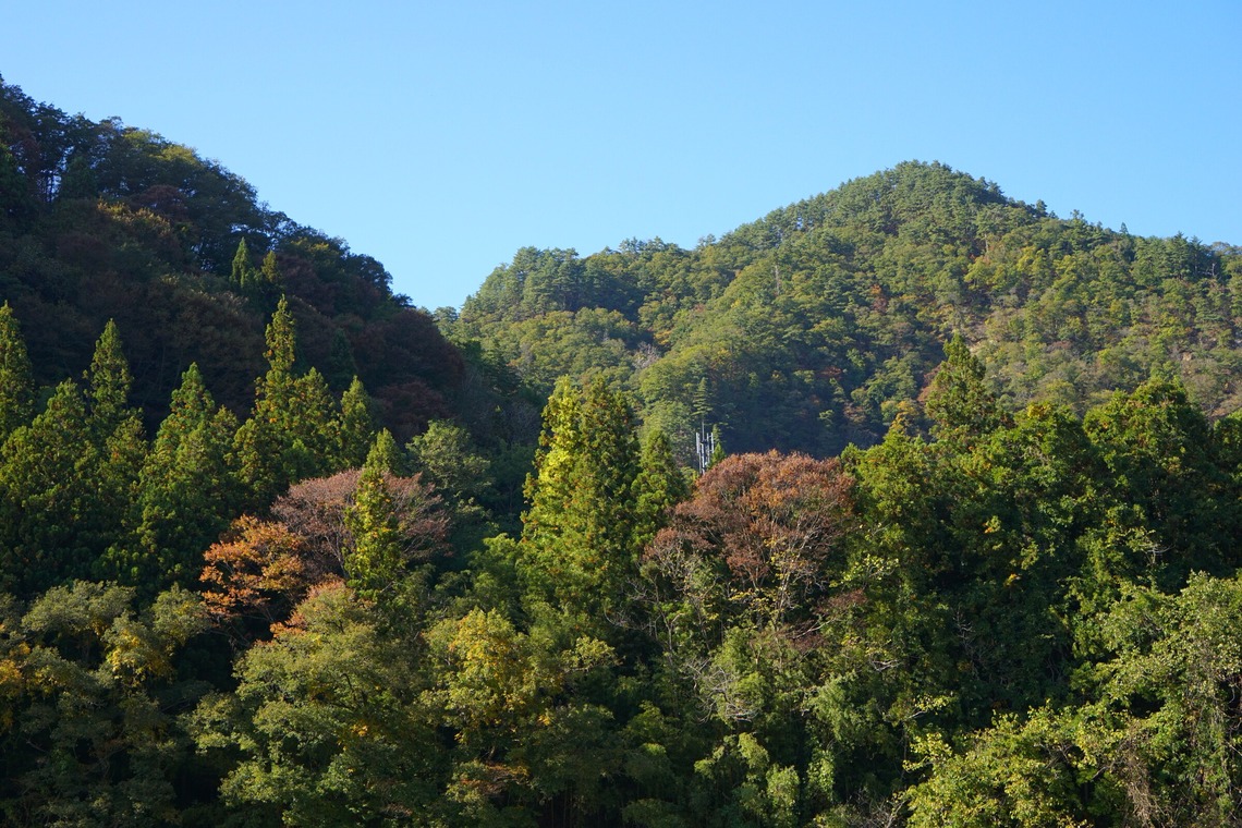 出張撮影のメモリーズが撮影した「nature-アラカルト」の写真