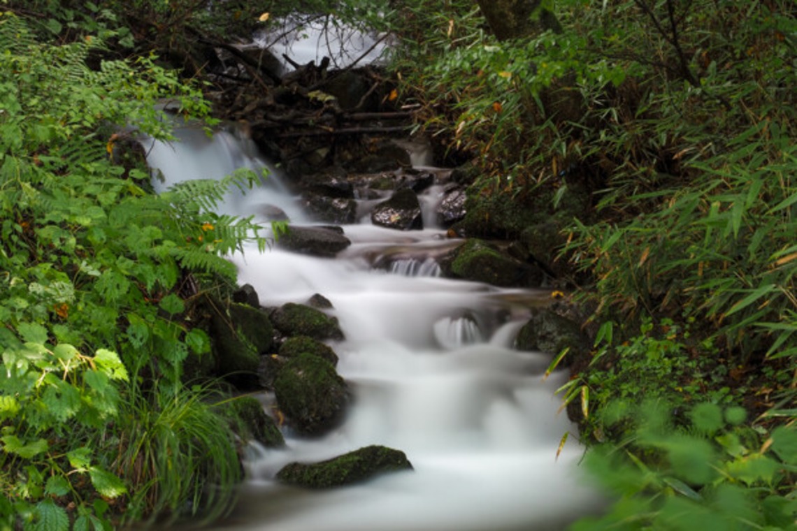手塚隆弘が撮影した「気ままに」の写真