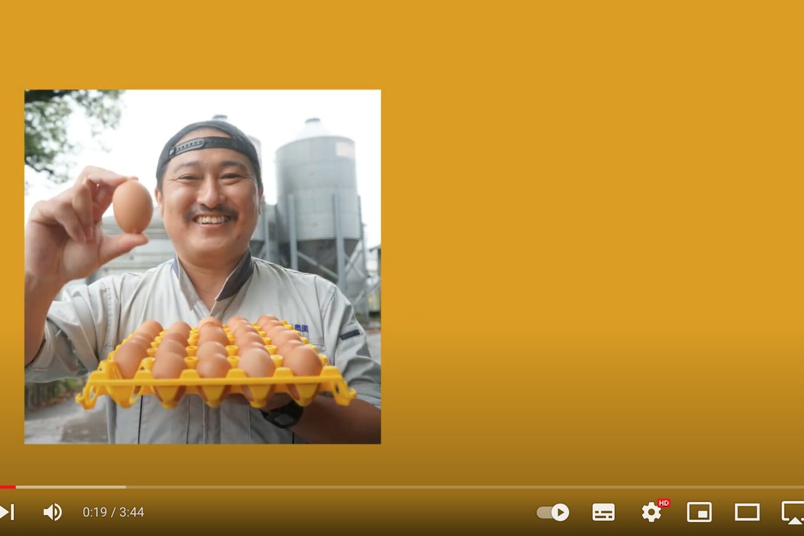 Castella Designが撮影した「YouTube動画」の写真