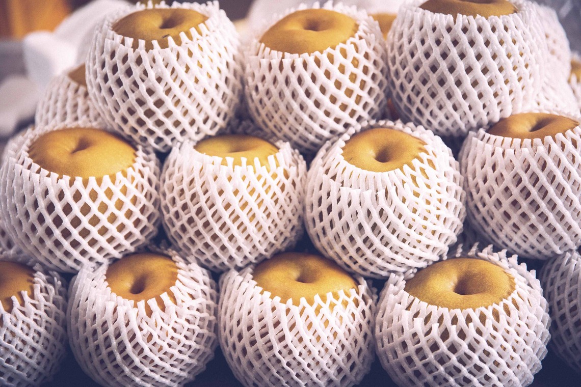 Sunstore 三條康貴が撮影した「スナップ」の写真