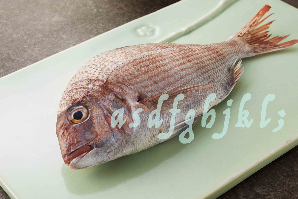 西原毅が撮影した写真のアルバム「高級素材」