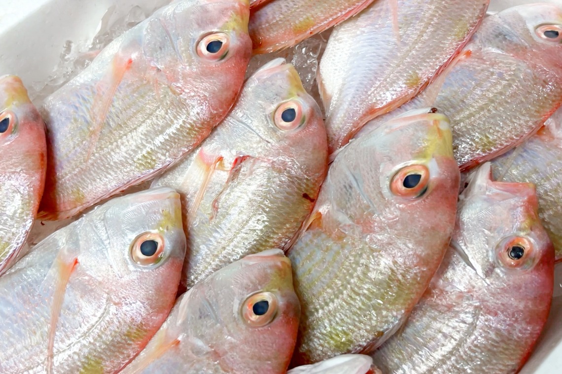 CREATIVE HOUSEが撮影した「商品撮影」の写真