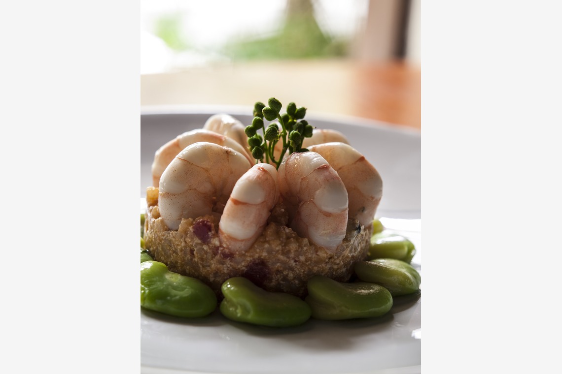 （有）プロヴィデンスが撮影した「料理」の写真