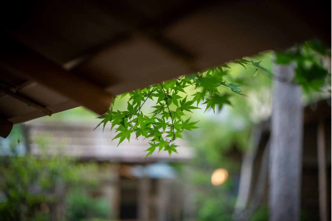 スタジオ桜が撮影した「竣工撮影」の写真