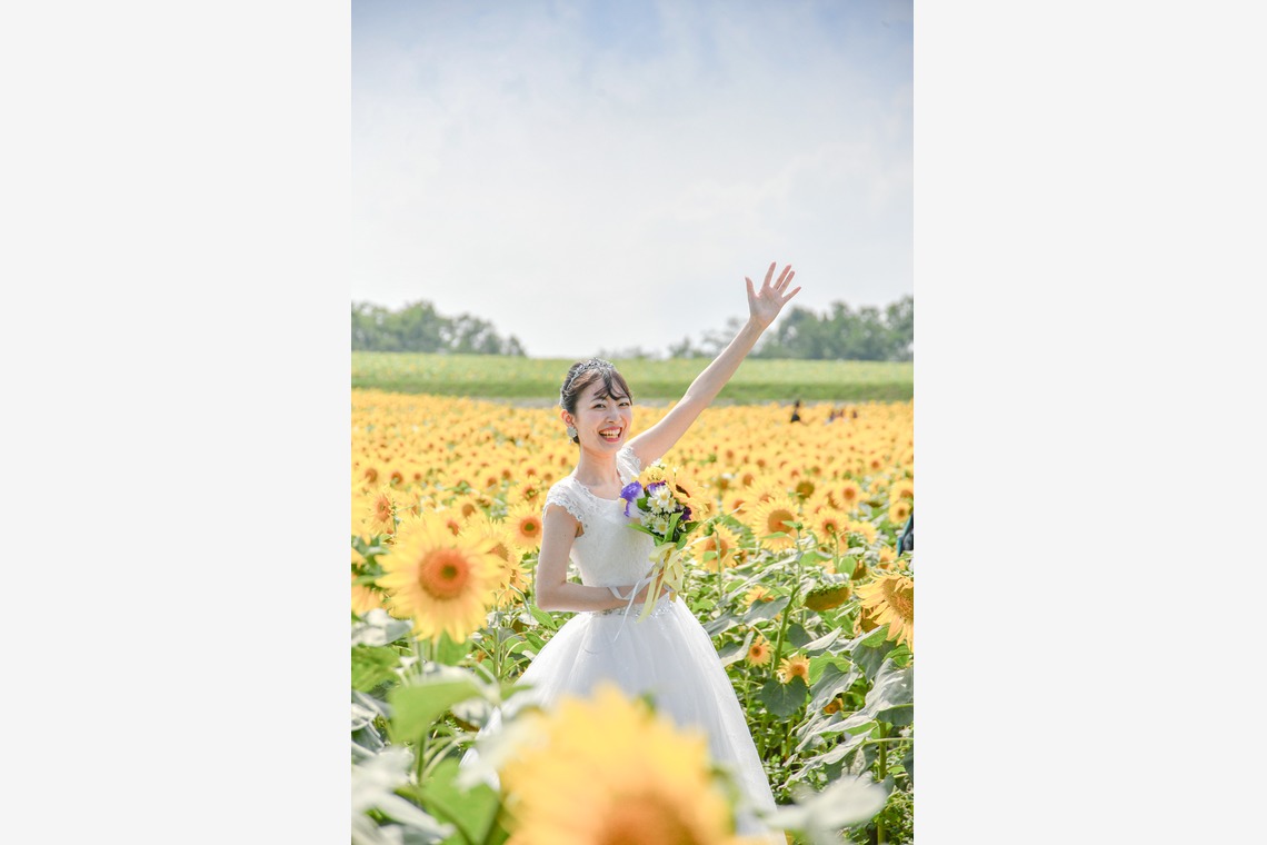 Album of the Honeymoon Photo Shoot taken by DESIGN STUDIO EE - Hokkaido Sun flower wedding photo
