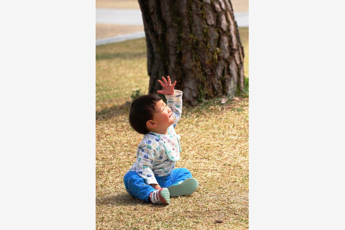 ひときわphotoが撮影した写真のアルバム「屋外撮影など」