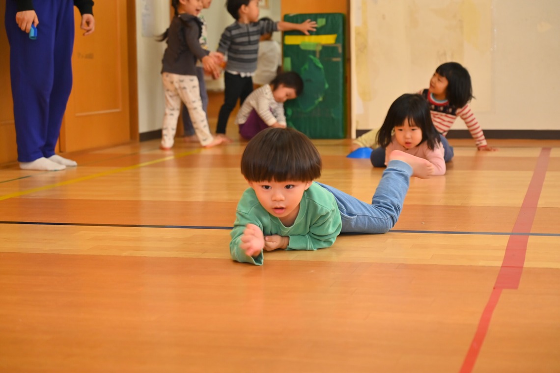 杉野優介が撮影した写真のアルバム「幼稚園撮影」