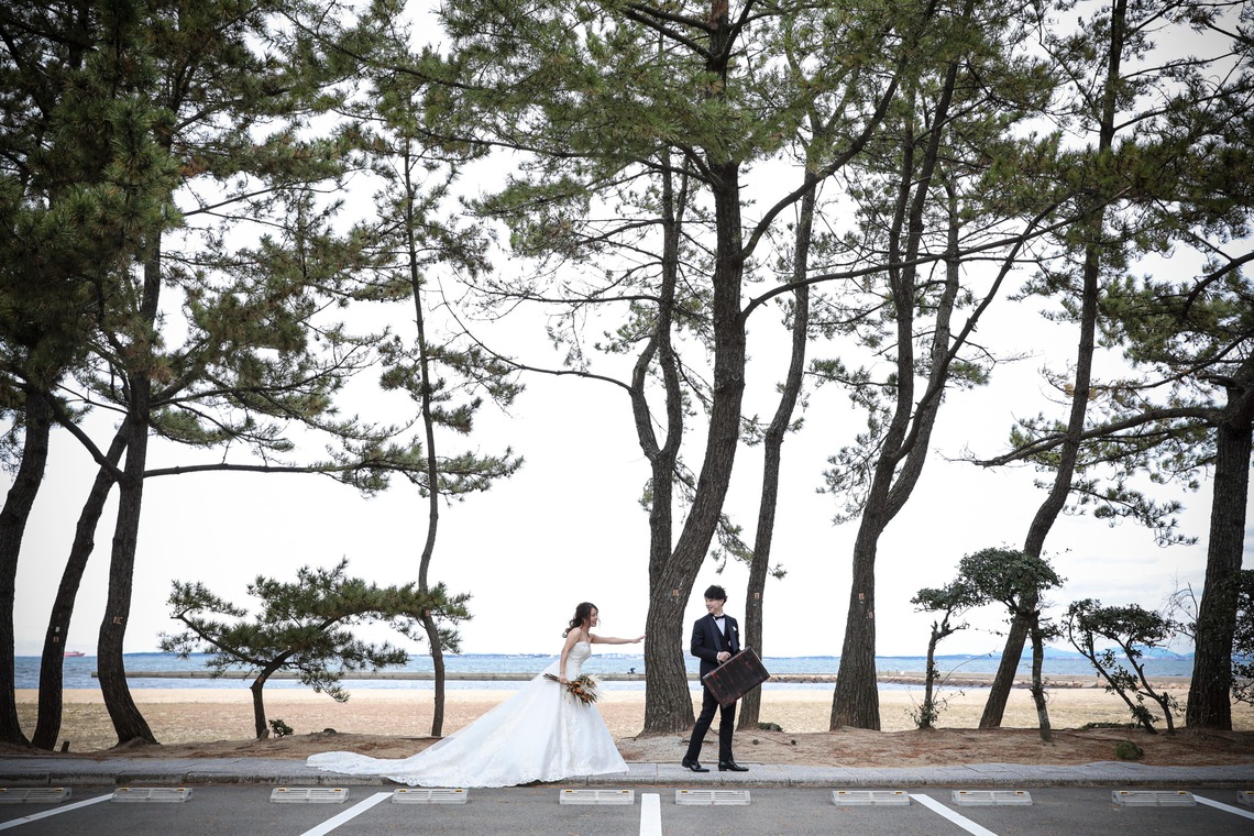 Album of the Wedding, Bridal taken by インプルーブ博多店 - 