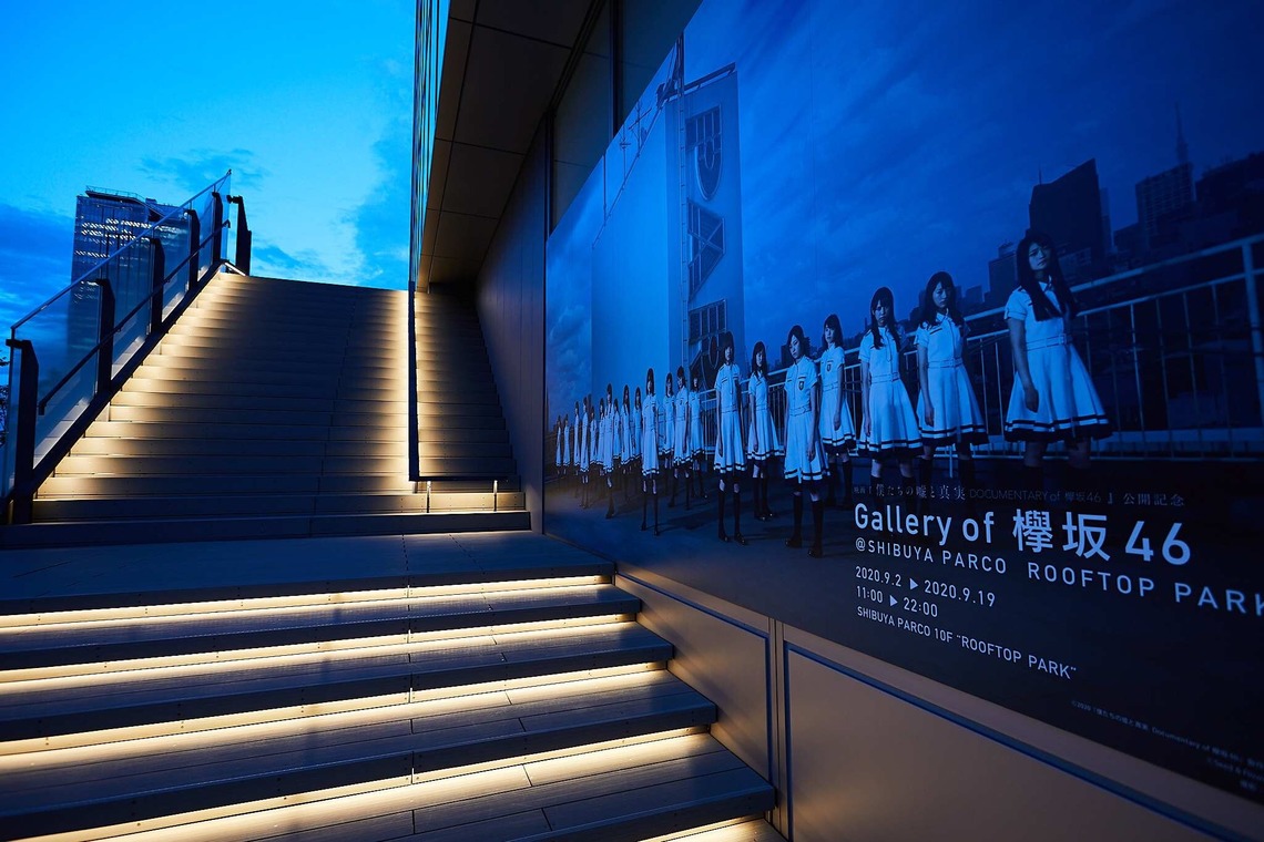 稲葉幸辰が撮影した写真のアルバム「夜空に輝く欅坂46」