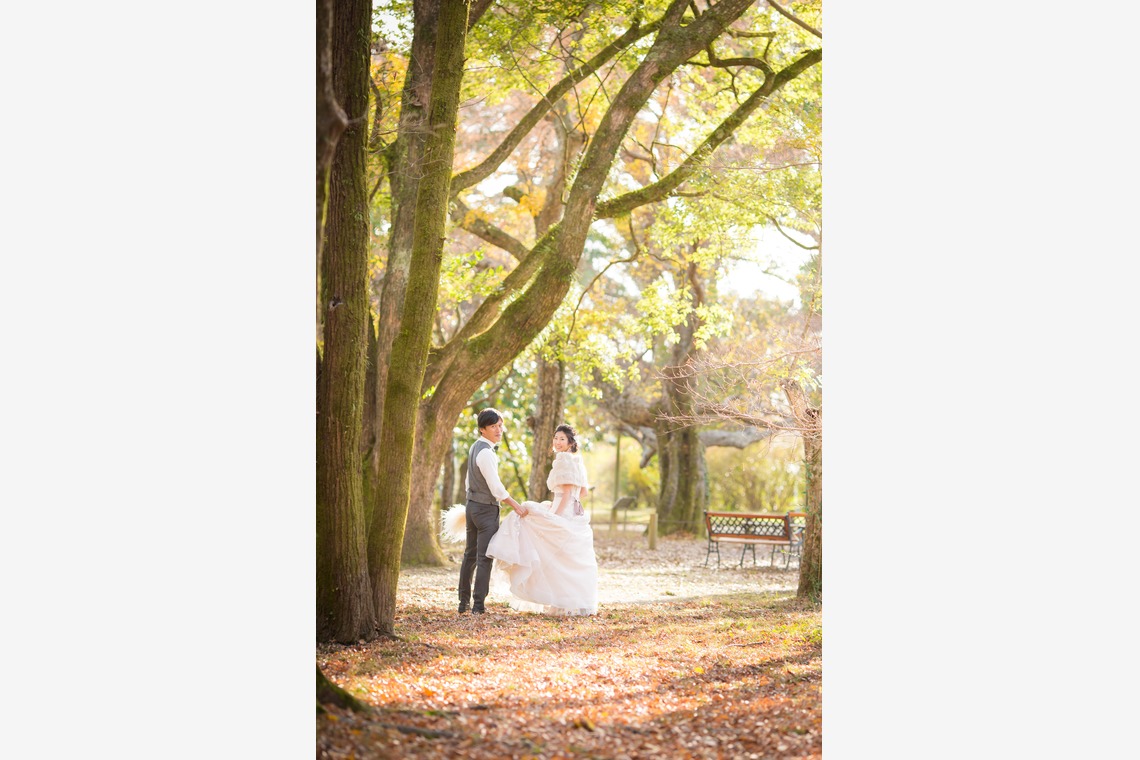 Photo of kyoto autumn taken by SORAIRO