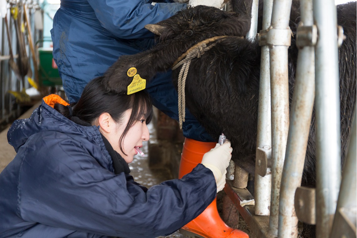 kentarou shimizuが撮影した写真のアルバム「インタビュー　人物　撮影事例」
