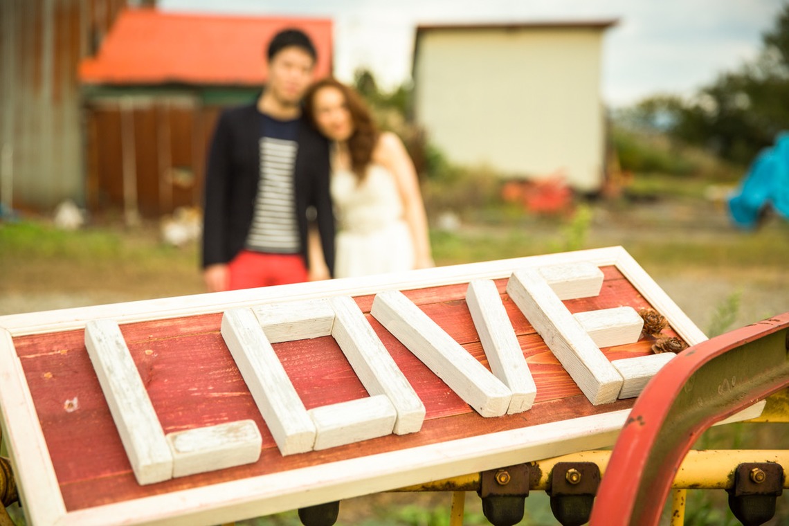 Album of the Wedding, Bridal taken by studio HATOYA - 