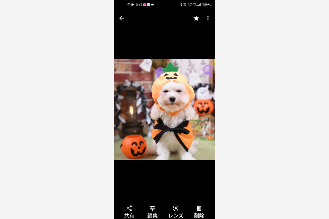 Photo la feliceが出張撮影した家族写真(キッズ,ベビーフォト)などが写った「Photo la felice」の家族写真