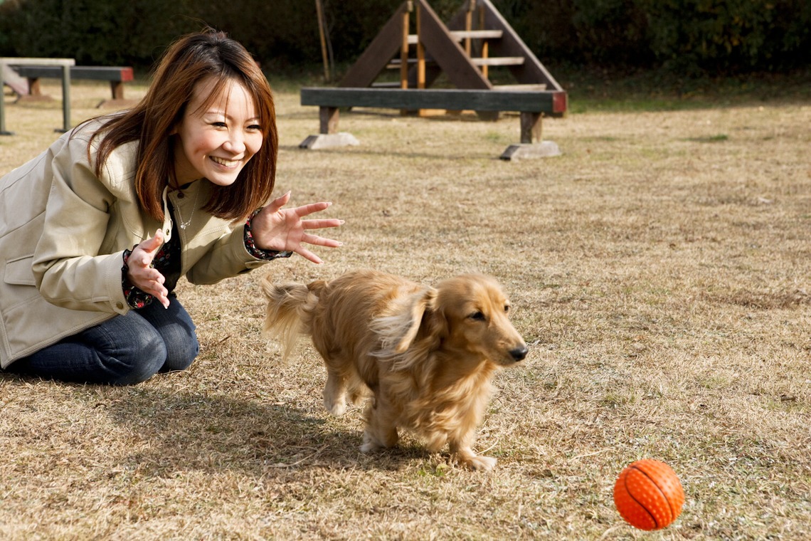 クマが撮影した写真のアルバム「ペット撮影」